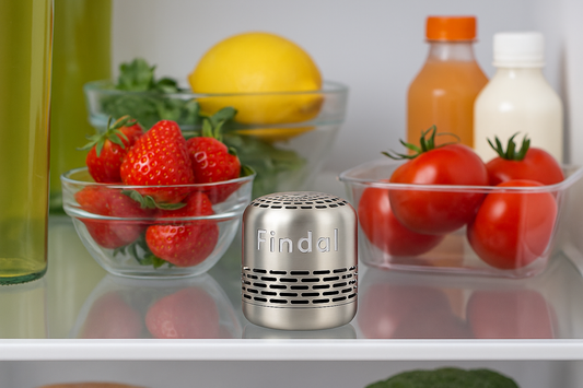 Findal Odor Absorber
